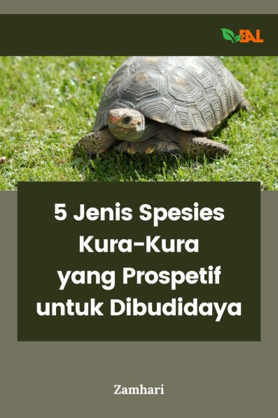 5 Jenis Spesies Kura-Kura yang Prospektif untuk Dibudidaya